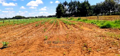 1 Acre for Sale in Marura After Kimumu in Eldore - Image 7