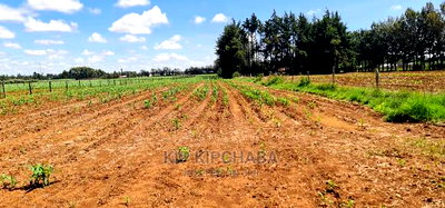1 Acre for Sale in Marura After Kimumu in Eldore - Image 5
