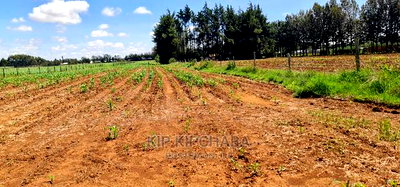 1 Acre for Sale in Marura After Kimumu in Eldore - Image 1