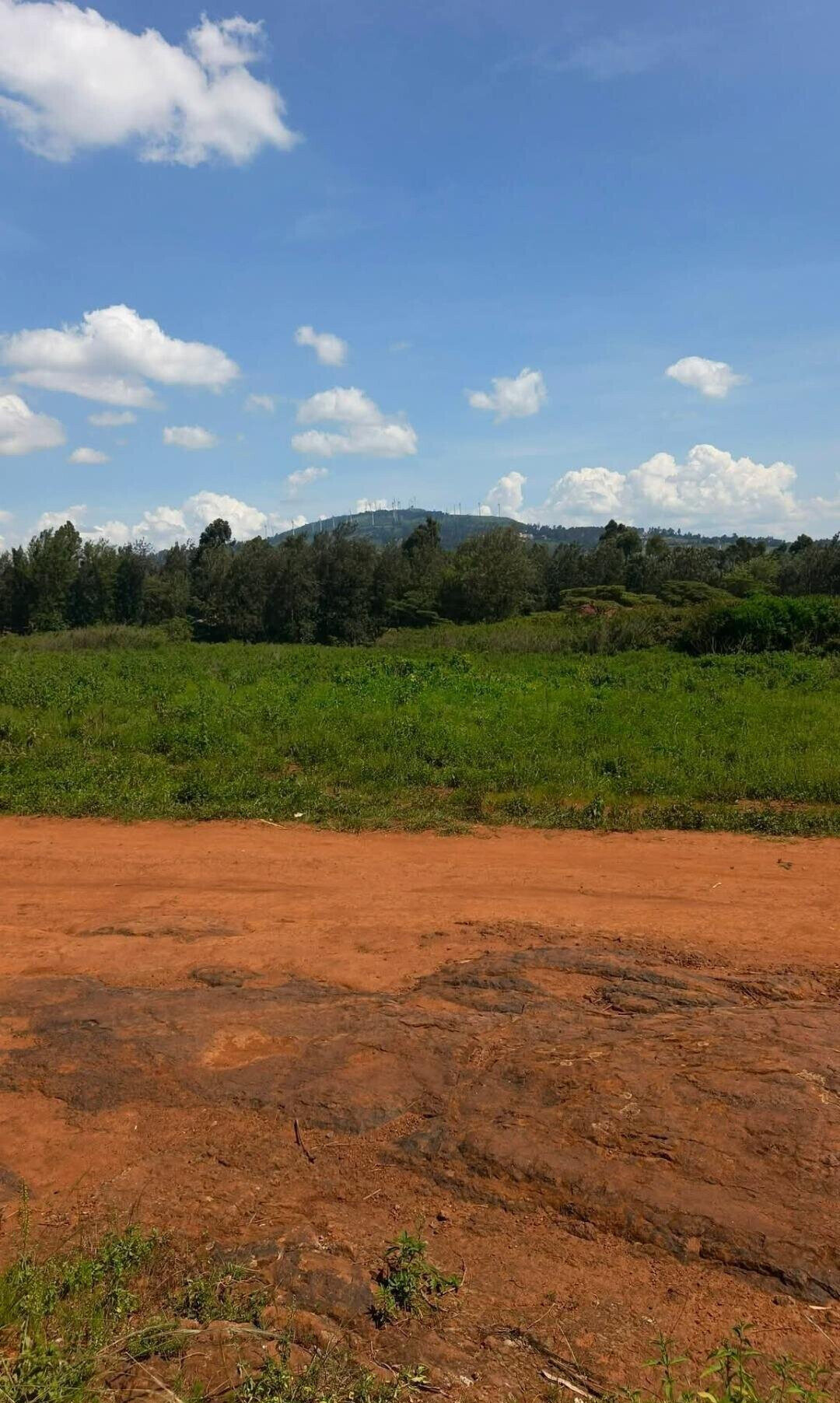 Pet Friendly Half Acre in Ngong