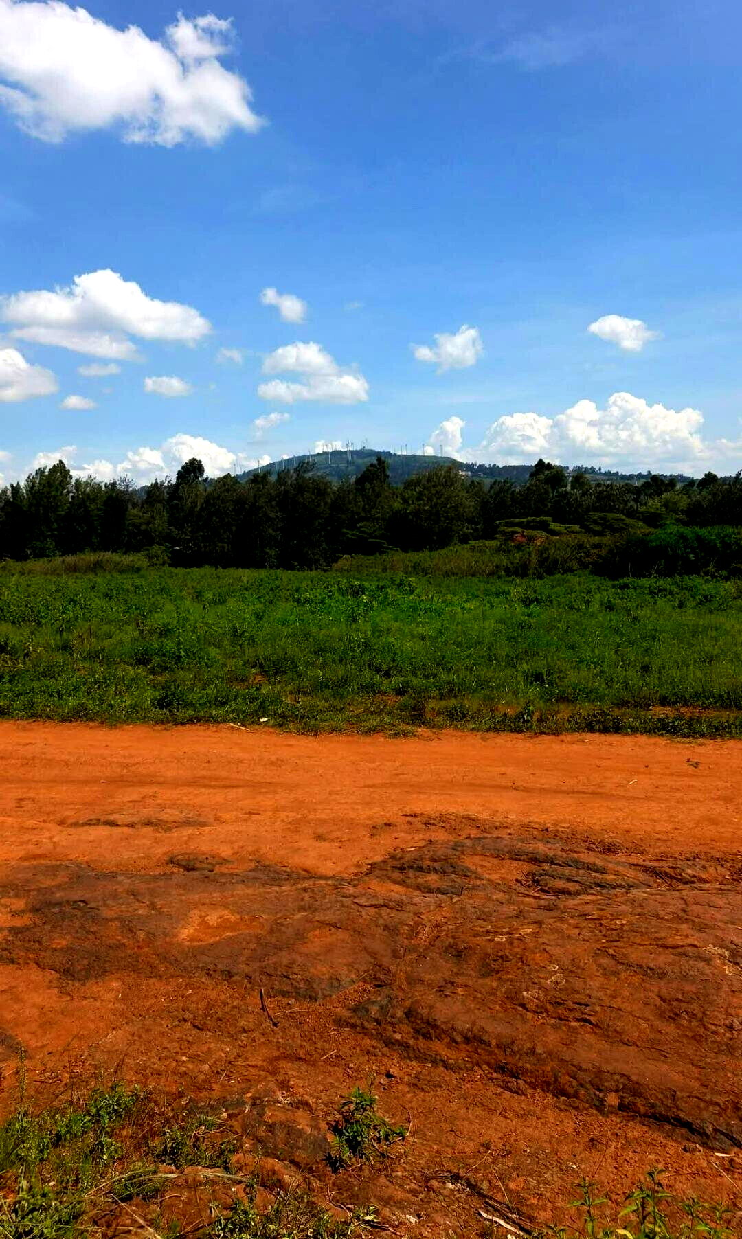Pet Friendly Half Acre in Ngong