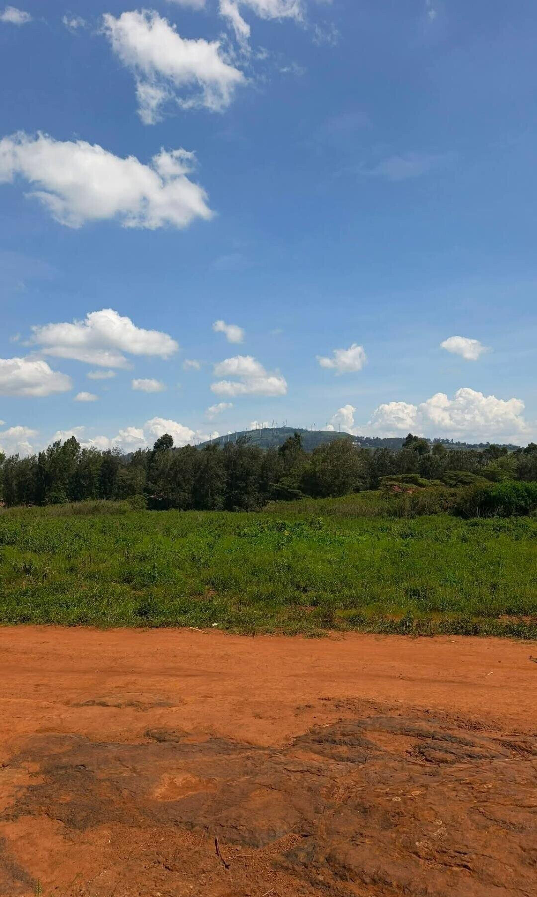 Pet Friendly Half Acre in Ngong