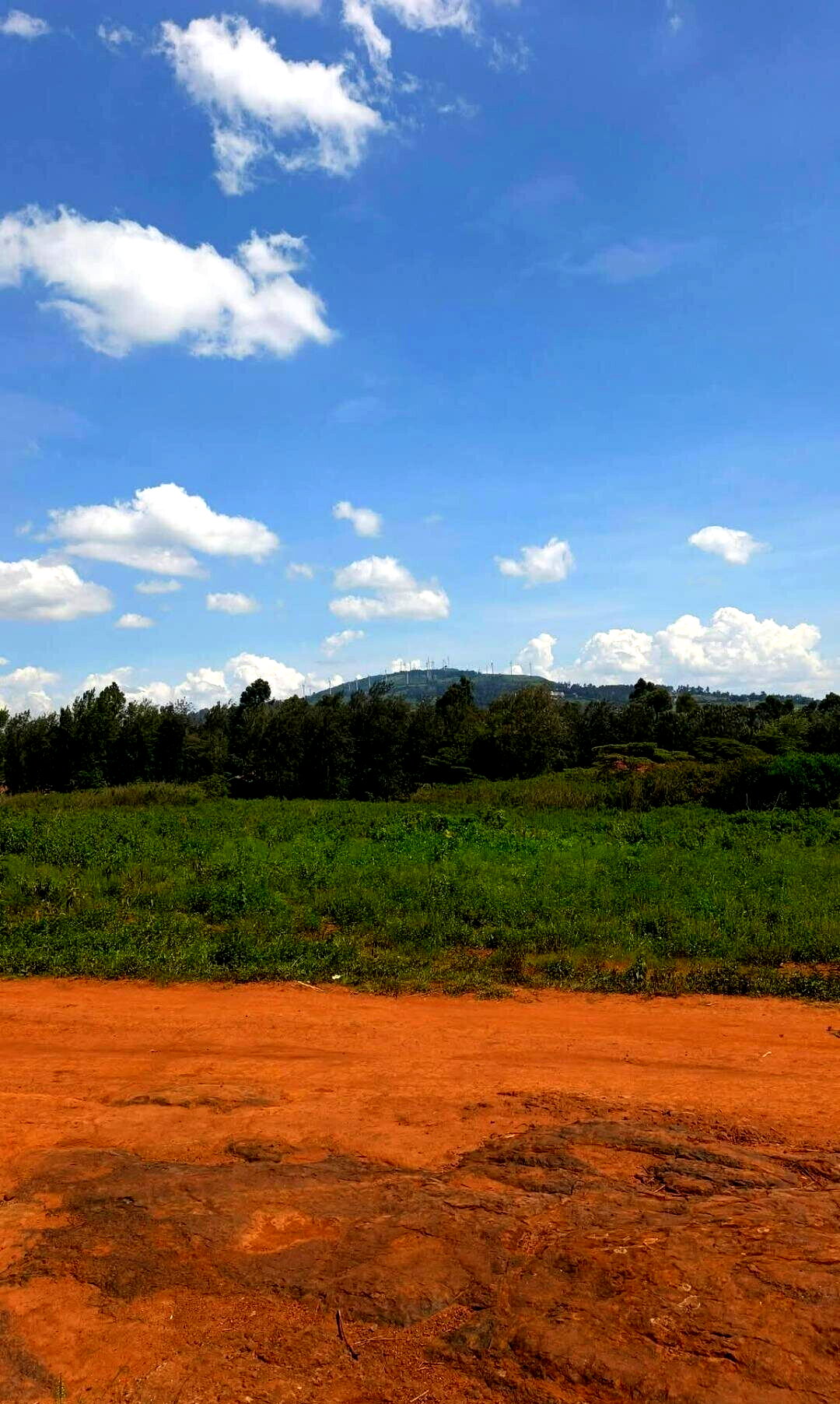 Pet Friendly Half Acre in Ngong