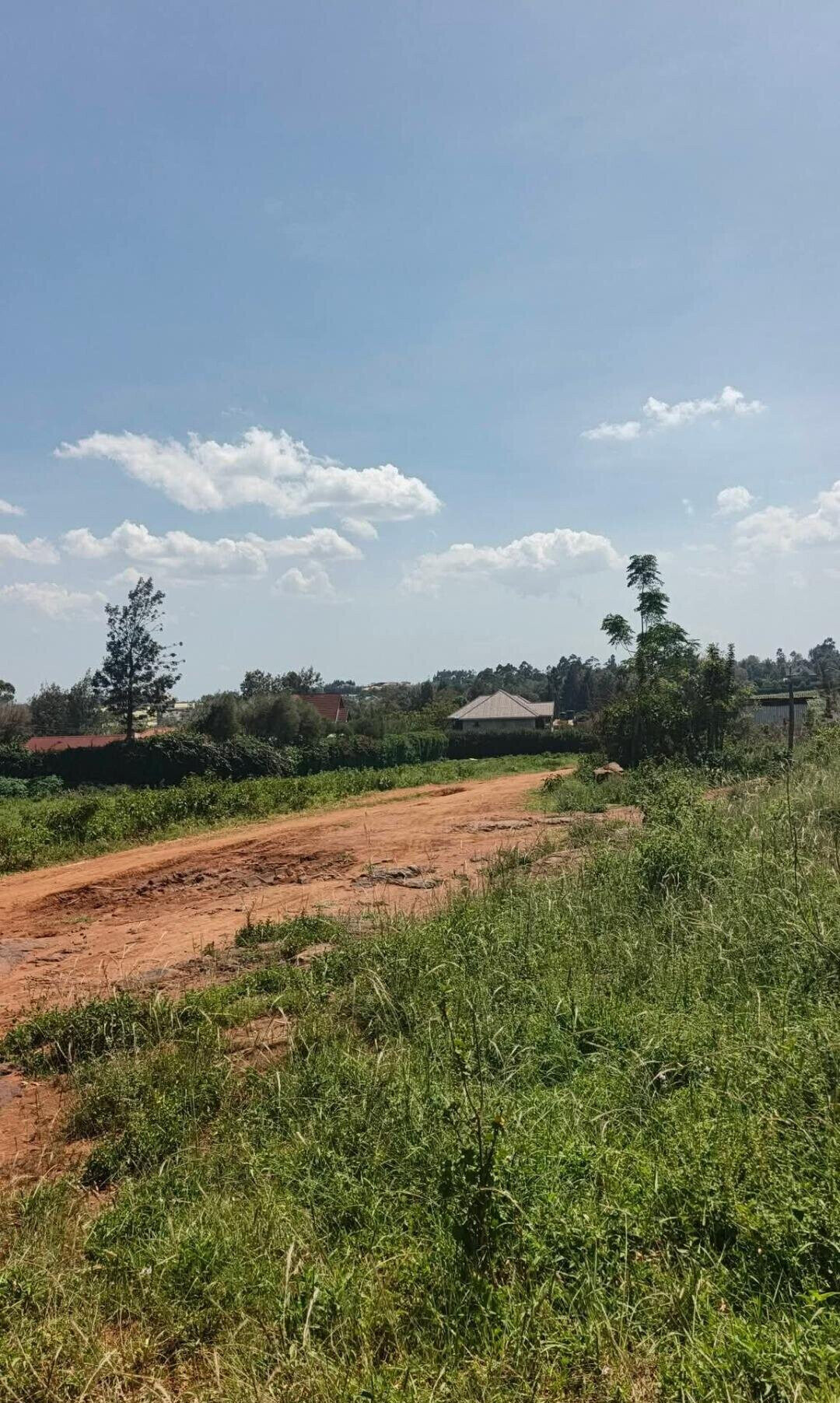 Pet Friendly Half Acre in Ngong