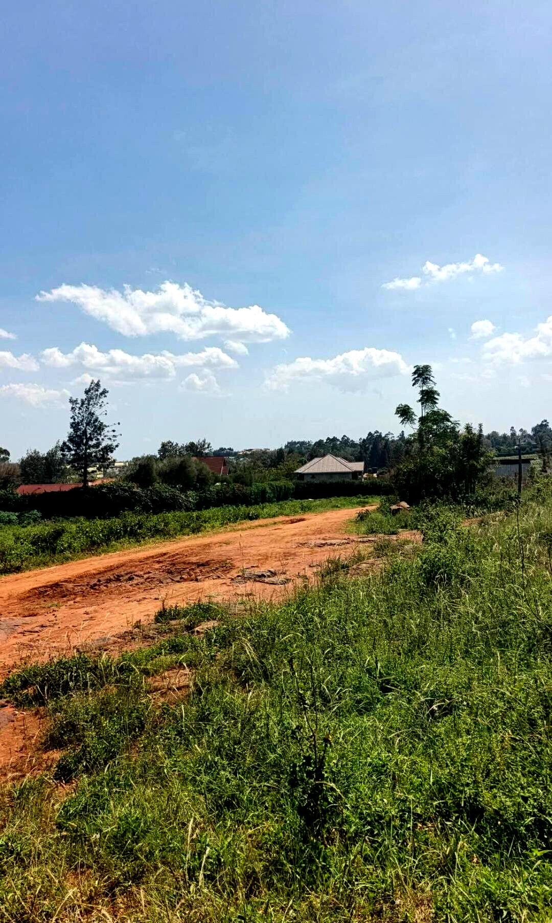Pet Friendly Half Acre in Ngong