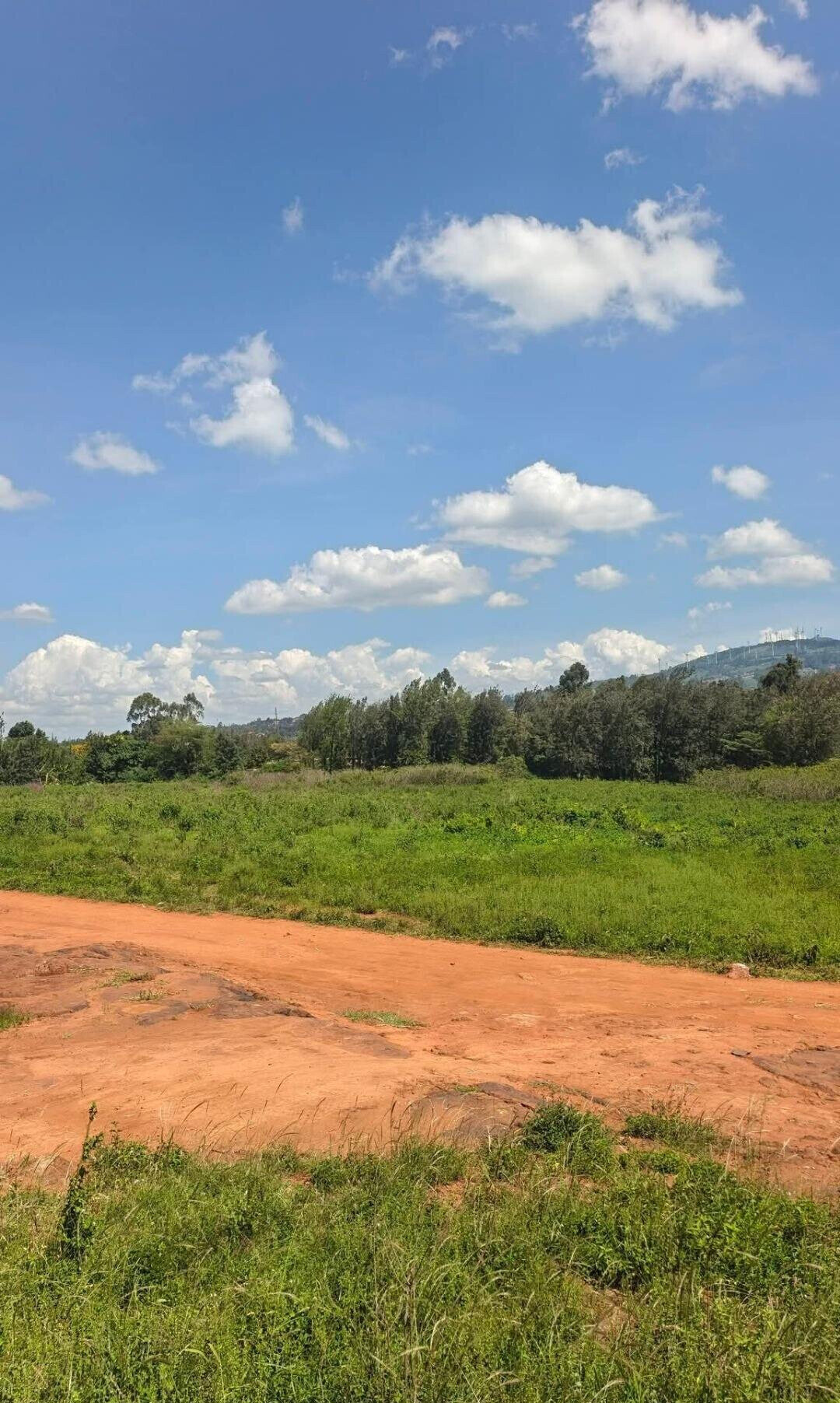 Pet Friendly Half Acre in Ngong