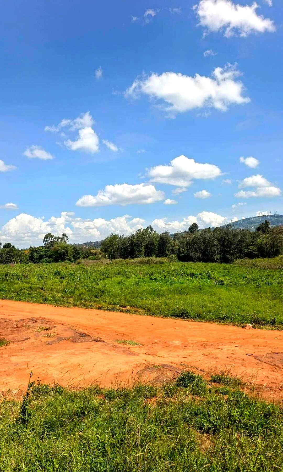 Pet Friendly Half Acre in Ngong