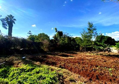 0.58 Acre Westlands Plot for KSh 110M