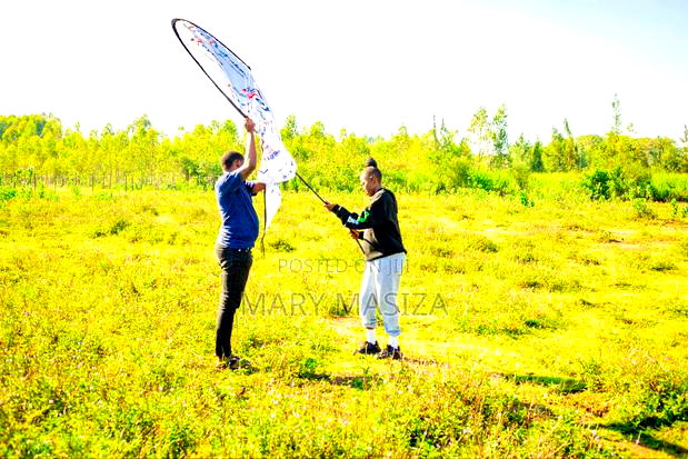 Kisumu Prime Plots