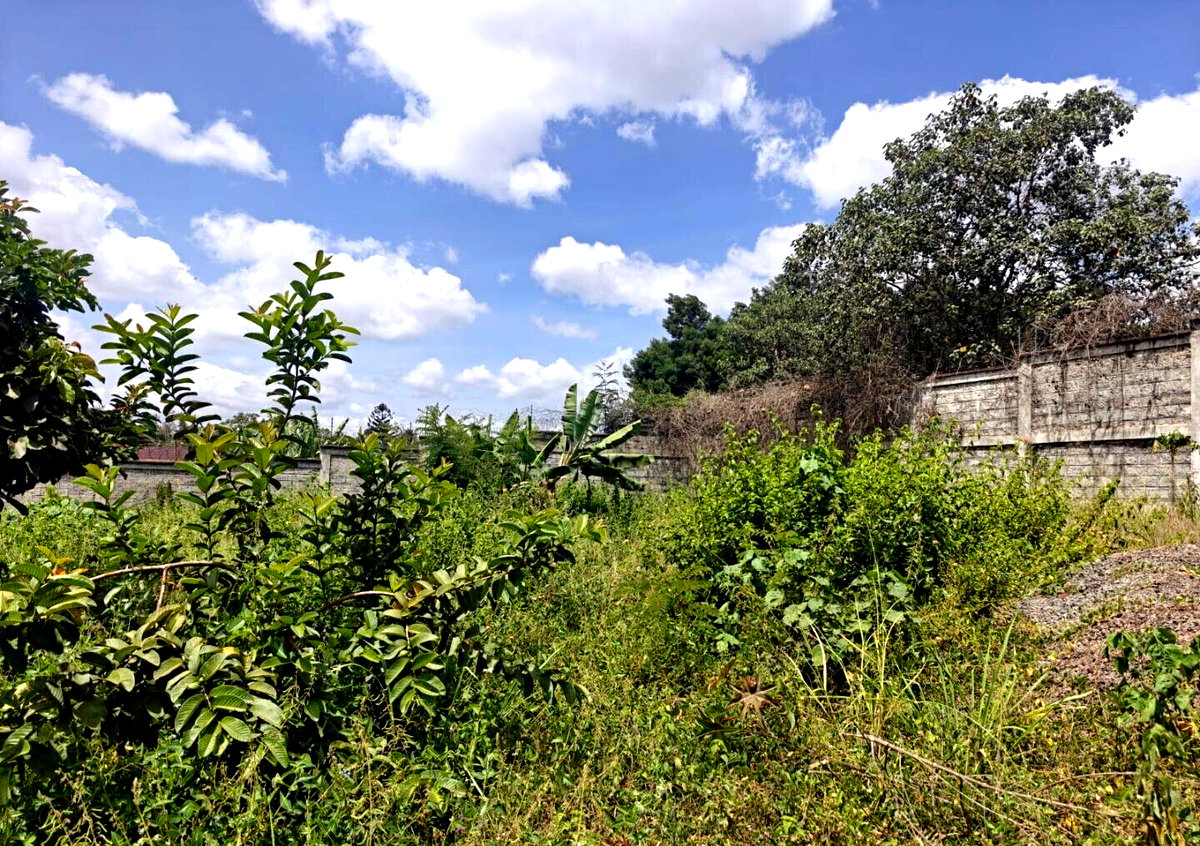 1/2 Acre Runda Gem with Garden