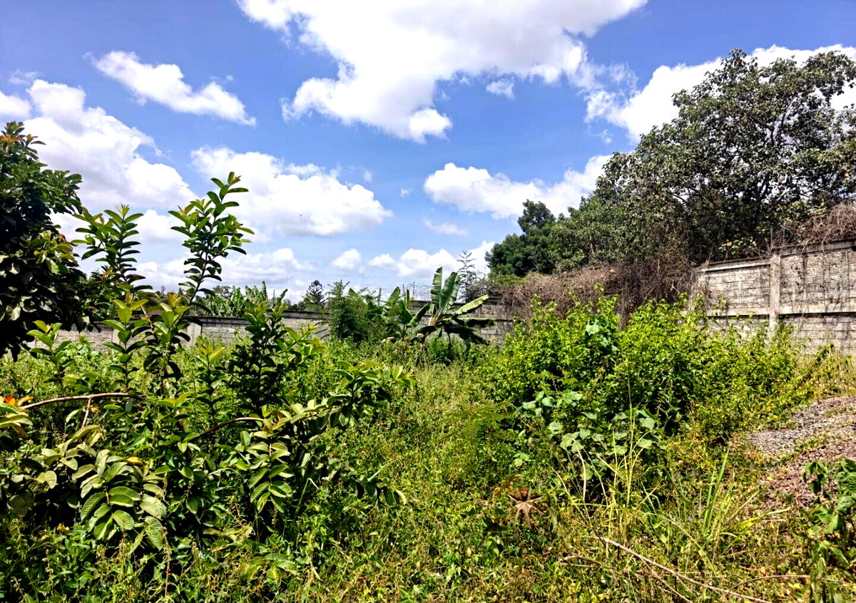 1/2 Acre Runda Gem with Garden