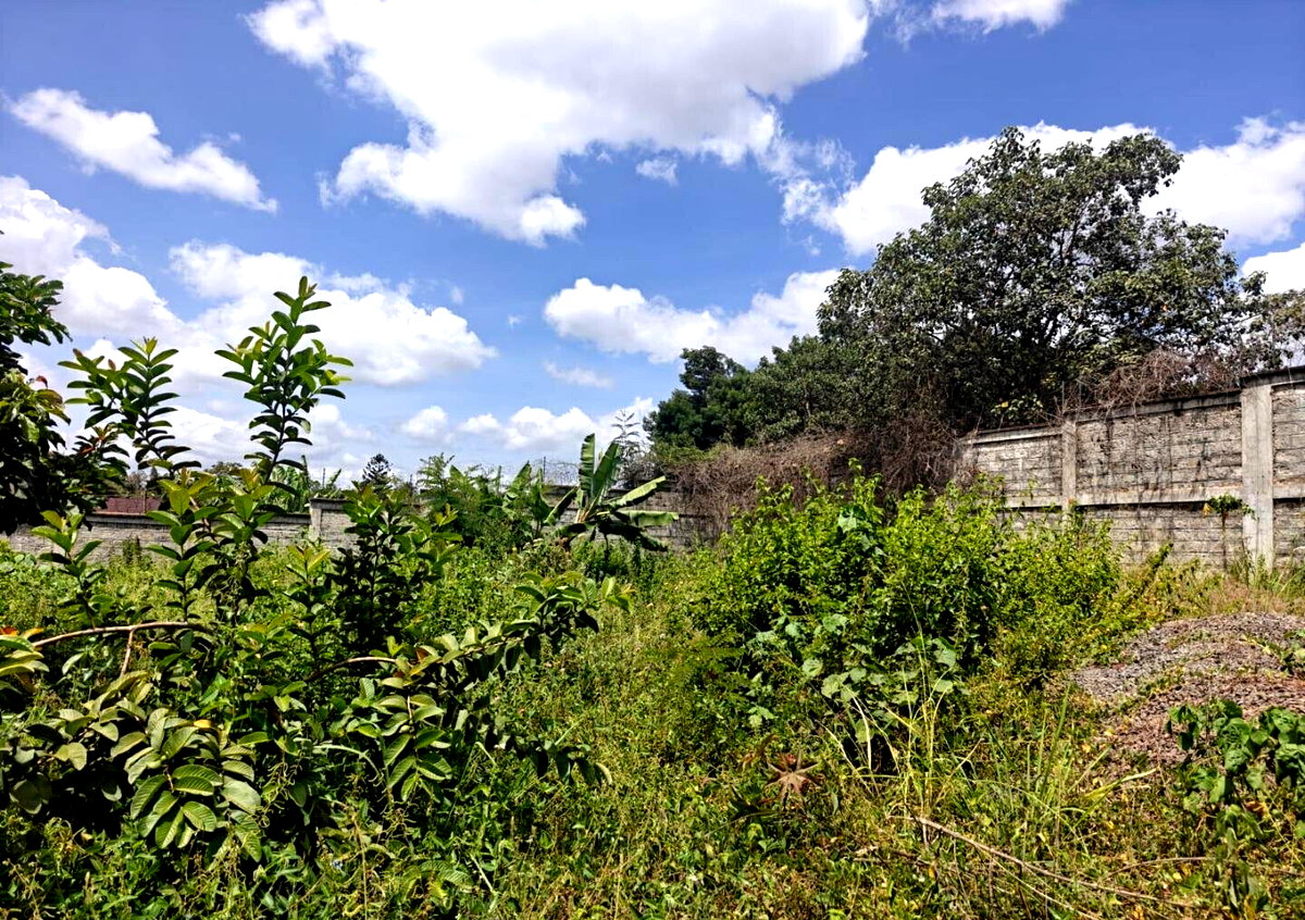 1/2 Acre Runda Gem with Garden