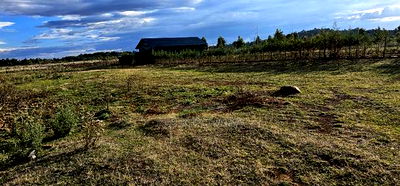 Prime Plots for Sale in Illula After Kapsoya in Eldoret - Image 7