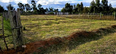 Prime Plots for Sale in Illula After Kapsoya in Eldoret - Image 4