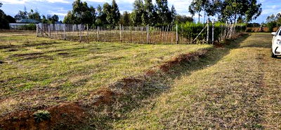 Prime Plots for Sale in Illula After Kapsoya in Eldoret - Image 6
