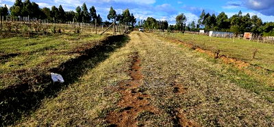 Prime Plots for Sale in Illula After Kapsoya in Eldoret - Image 8