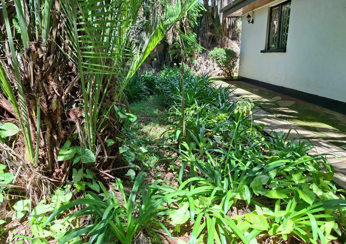 2BR Garden Retreat at KSh 150K