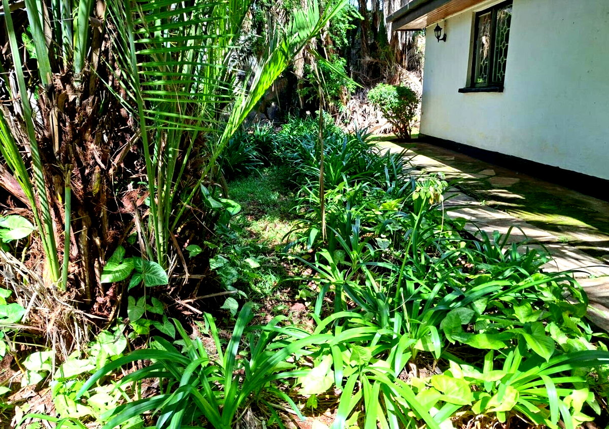 2BR Garden Retreat at KSh 150K