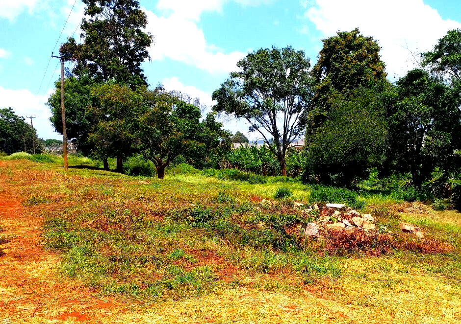 Quarter Acre Plot in Ruiru for KSh 10M