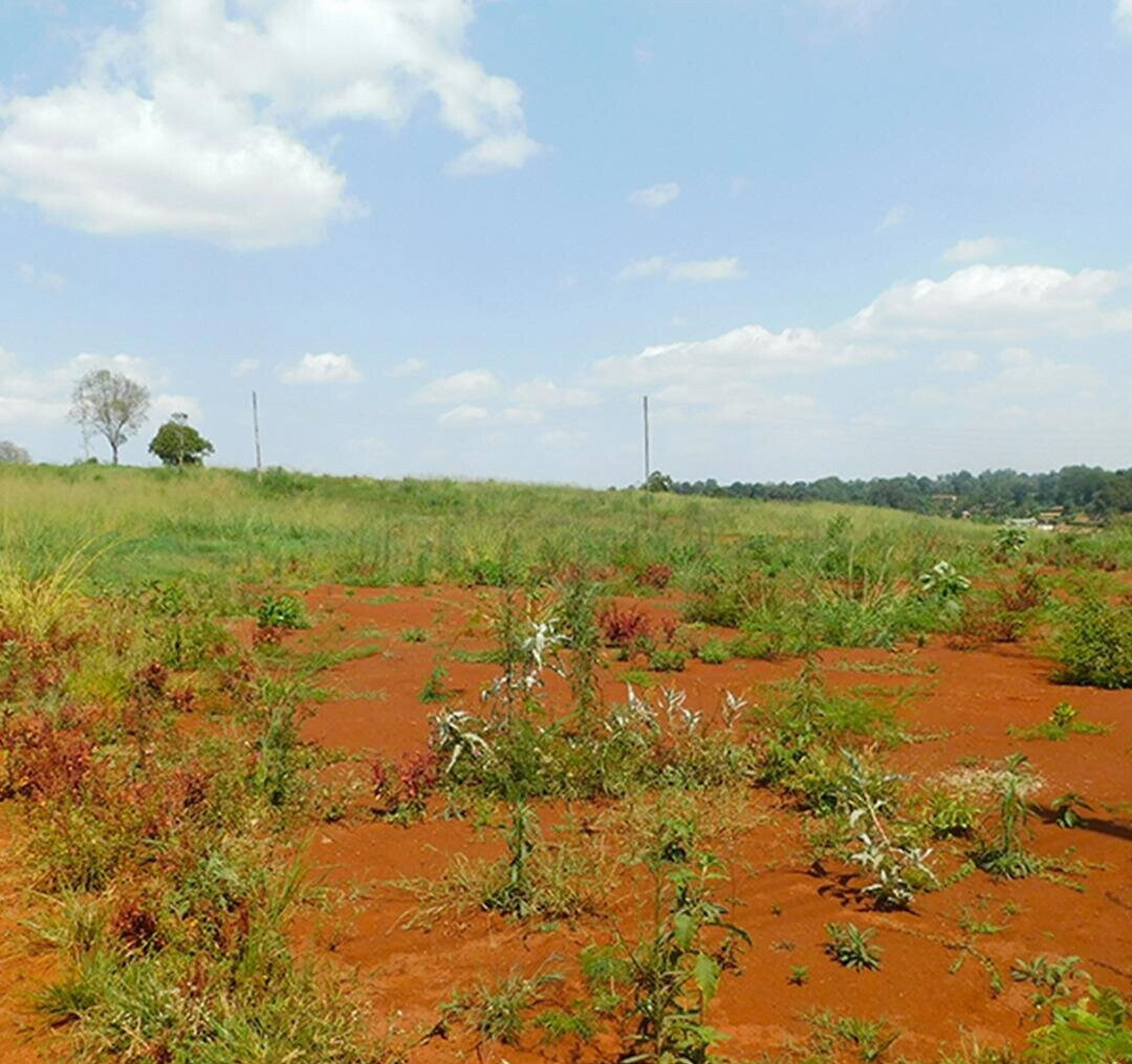 Quarter Acre Plot in Ruiru for KSh 10M