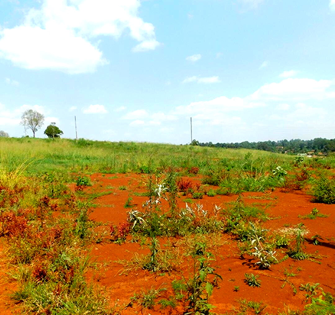 Quarter Acre Plot in Ruiru for KSh 10M