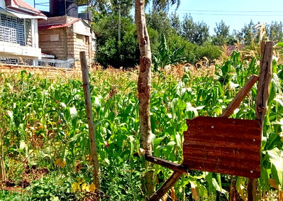 Quarter Acre Garden Plot with Parking at KSh 14M
