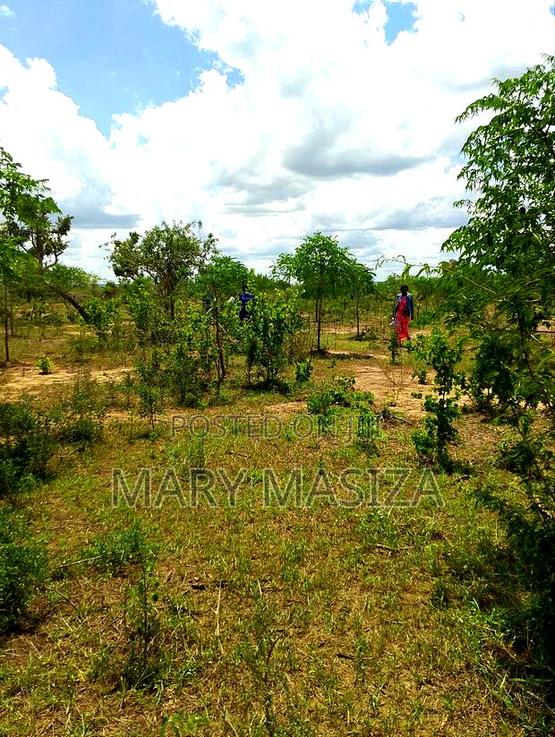 Malindi Affordable Plots