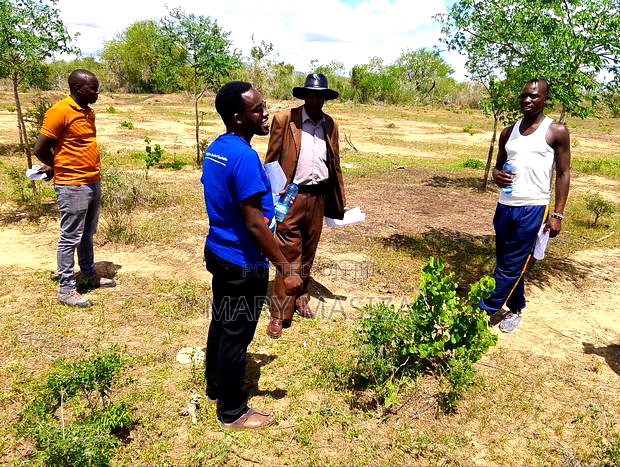 Malindi Affordable Plots