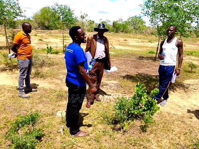 Malindi Affordable Plots - Image 2