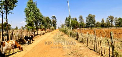 1/8 Plot for Sale in Illula Behind Centre in Eldoret - Image 8