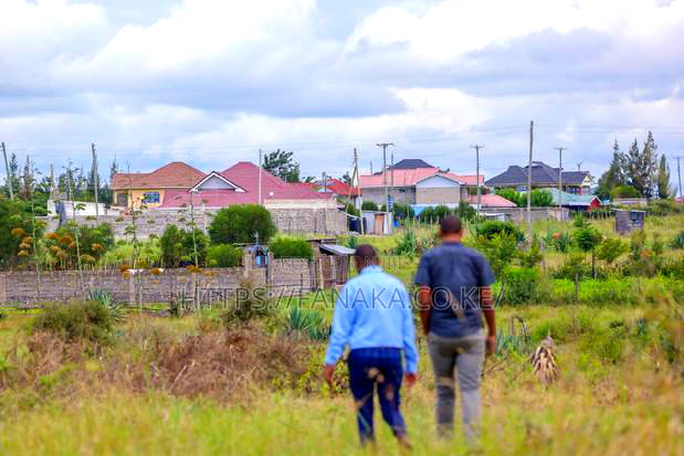 Syokimau-Katani Plots at 2.3M Ww^