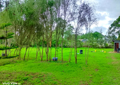 Quarter Acre Garden Plot in Langata