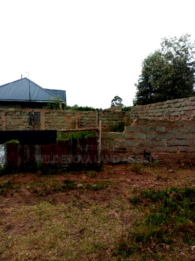 Plot With a House on Sale at Keroche Naivasha - Image 3