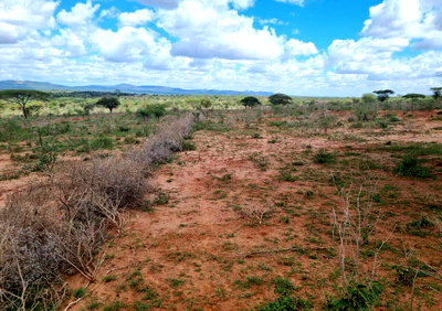 1.1 Acres in Bisil, KSh 1.8M