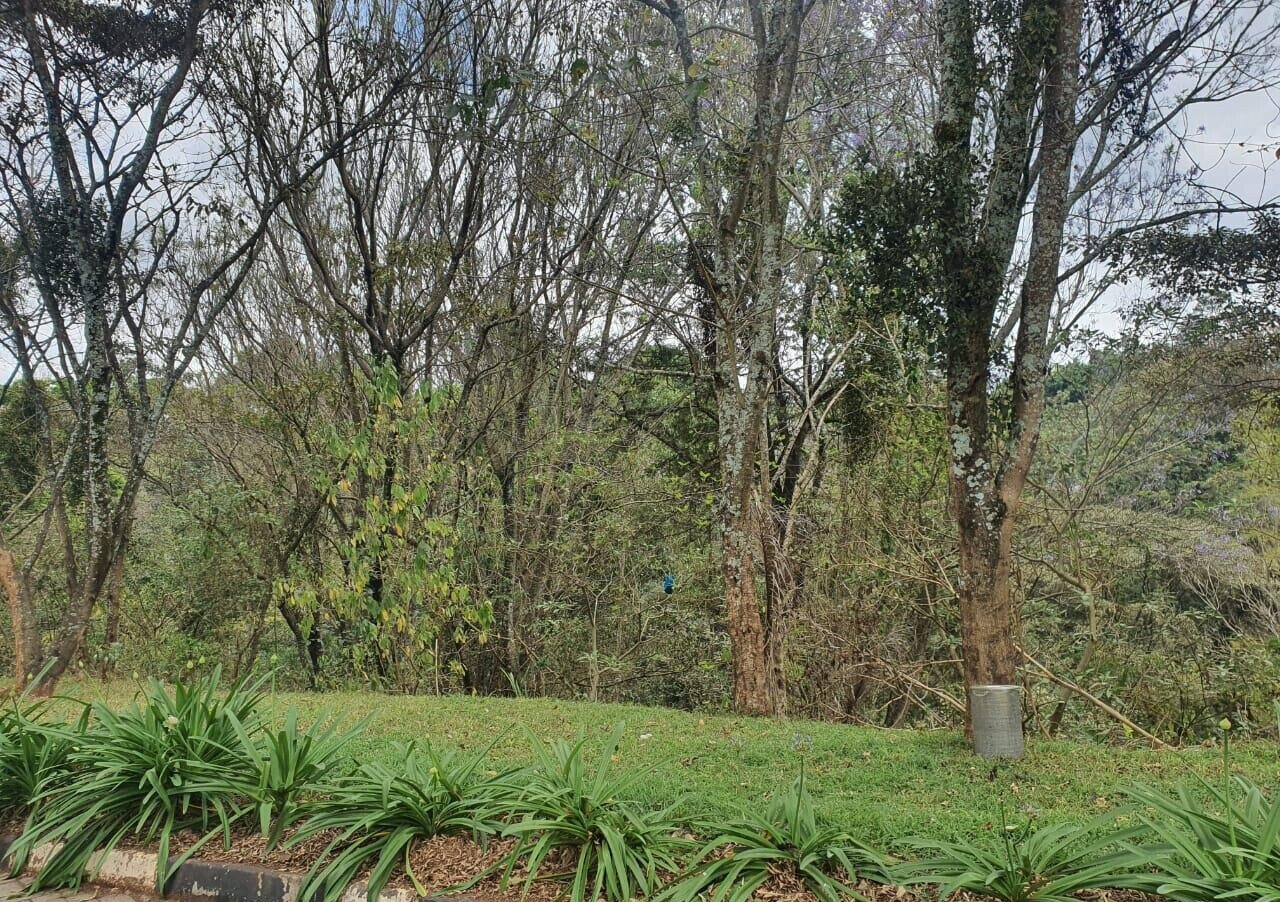 Half Acre Garden Plot with Parking at KSh 70M