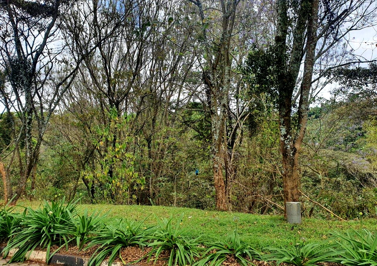 Half Acre Garden Plot with Parking at KSh 70M