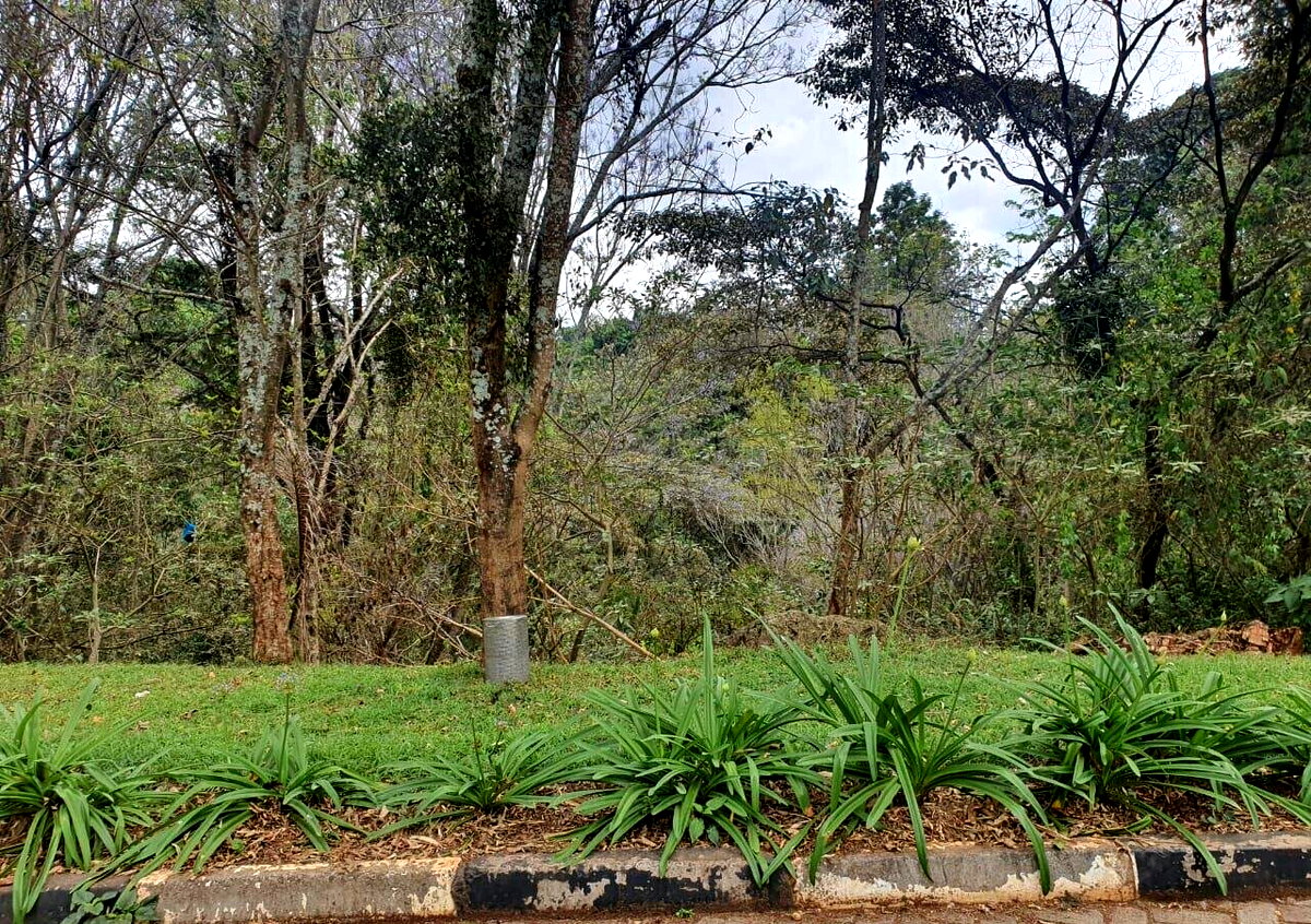 Half Acre Garden Plot with Parking at KSh 70M