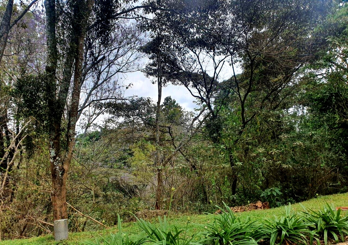 Half Acre Garden Plot with Parking at KSh 70M