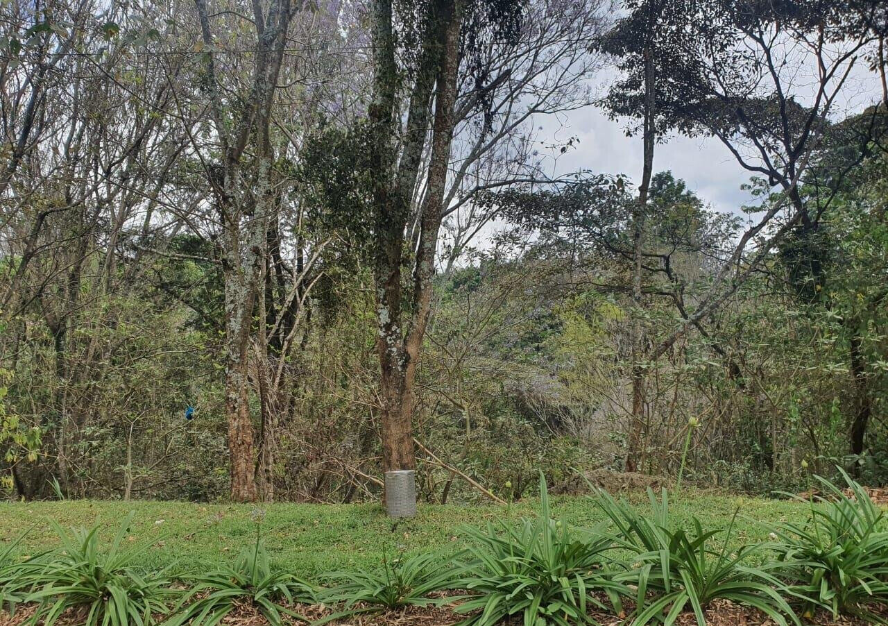 Half Acre Garden Plot with Parking at KSh 70M