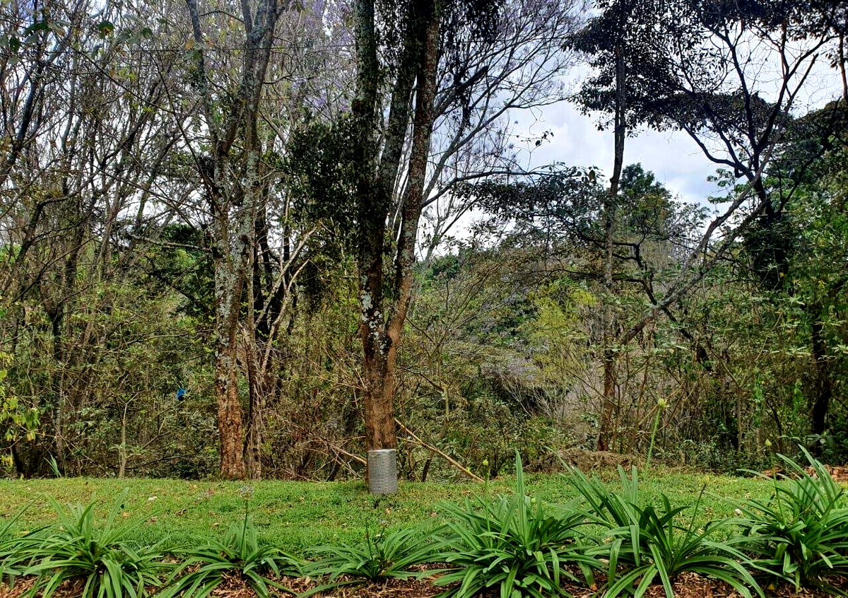 Half Acre Garden Plot with Parking at KSh 70M