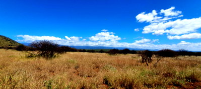 1.1 Acres Kimana Farmlet for KSh 250K
