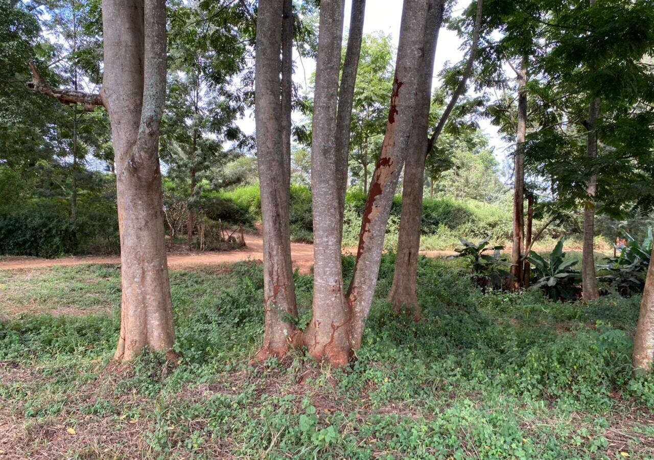 Quarter Acre Plot in Kiambu CBD