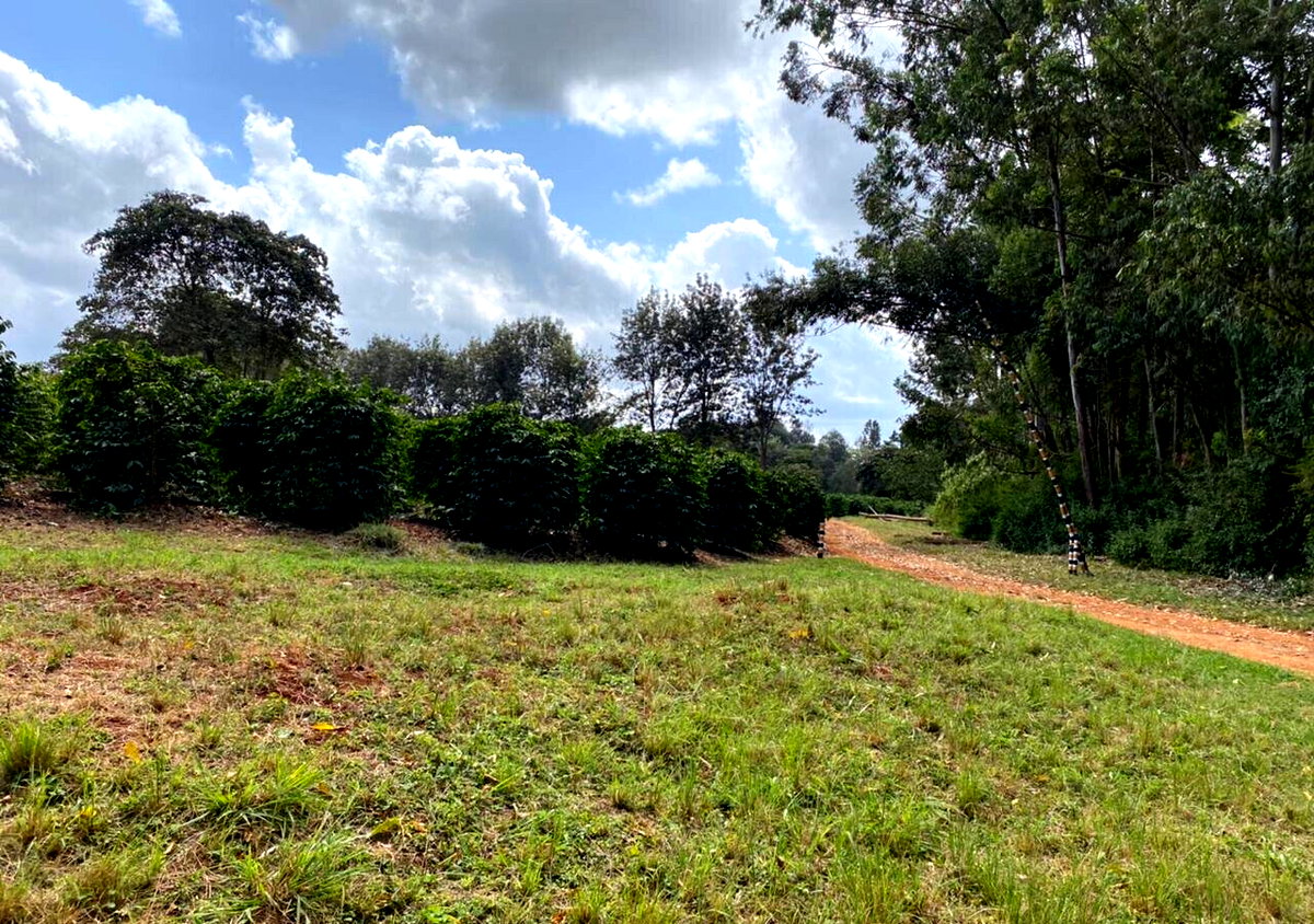 Quarter Acre Plot in Kiambu CBD