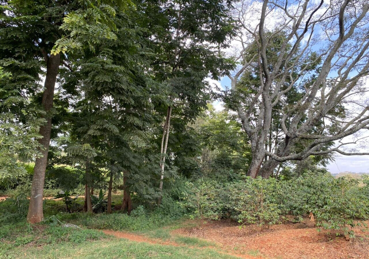 Quarter Acre Plot in Kiambu CBD