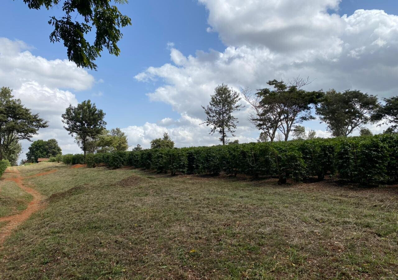 Quarter Acre Plot in Kiambu CBD