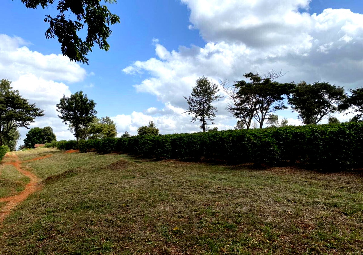 Quarter Acre Plot in Kiambu CBD
