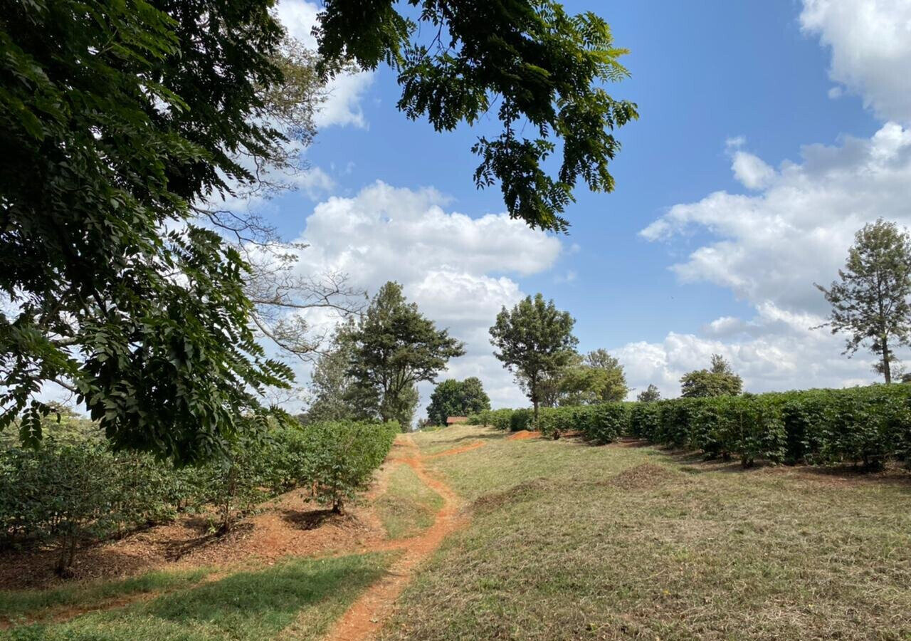 Quarter Acre Plot in Kiambu CBD