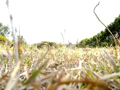 1/4 Acre Kandisi at 4.5m - Image 10