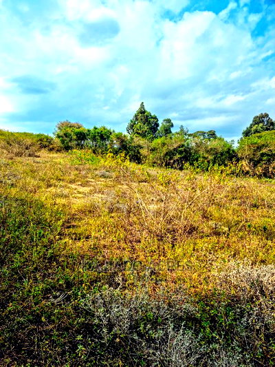 1/4 Acre Kandisi at 4.5m - Image 9