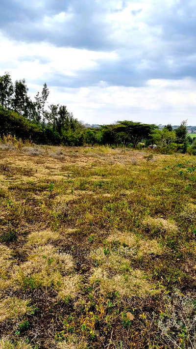1/4 Acre Kandisi at 4.5m - Image 5